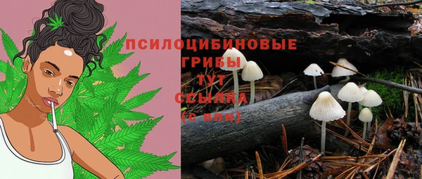 МДМА Алексеевка