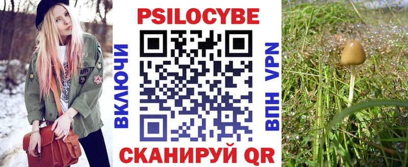 Галлюциногенные грибы Psilocybe  наркотики  Кострома 